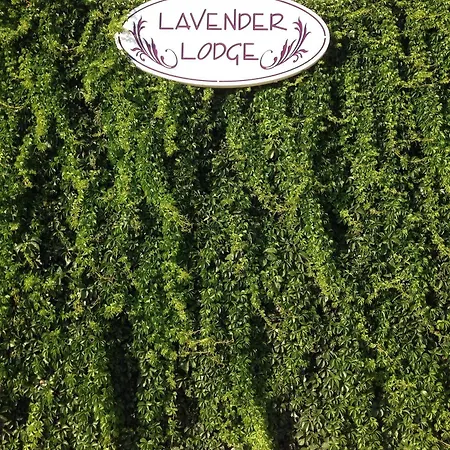 Bed & Breakfast Lavender's